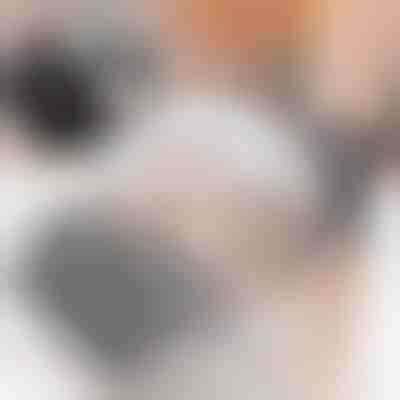 Четка за самостоятелна грижа за котки (2 бр.) | PURRCORNER