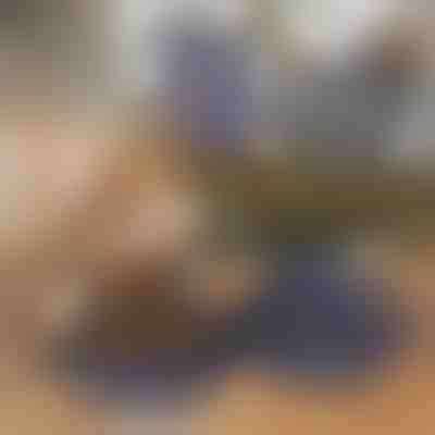 Сгъваема Купа за Храна и Вода за Домашни Любимци 2 в 1 | WOOFDISH