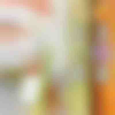 Многофункционален уред за рязане | SLICEWISE