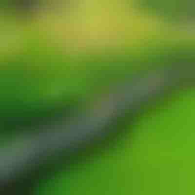 Каменна градинска ограда (10 бр.) | MINIFENCE