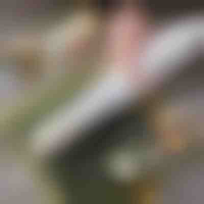 Лесен уред за суши | SUSHROLIO