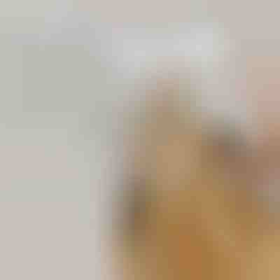 Акумулаторна четка за разпръскване на пара за домашни любимци | GROOMSY