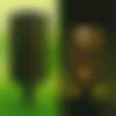 Соларна лампа Decoratove (2 броя) | GARDENIAS