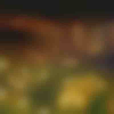 Градински соларни лампи (топла светлина) | SOMPEX