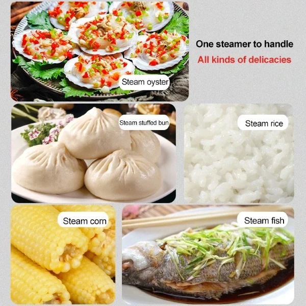 MICSTEAM-3831127639364-EN-4__180226